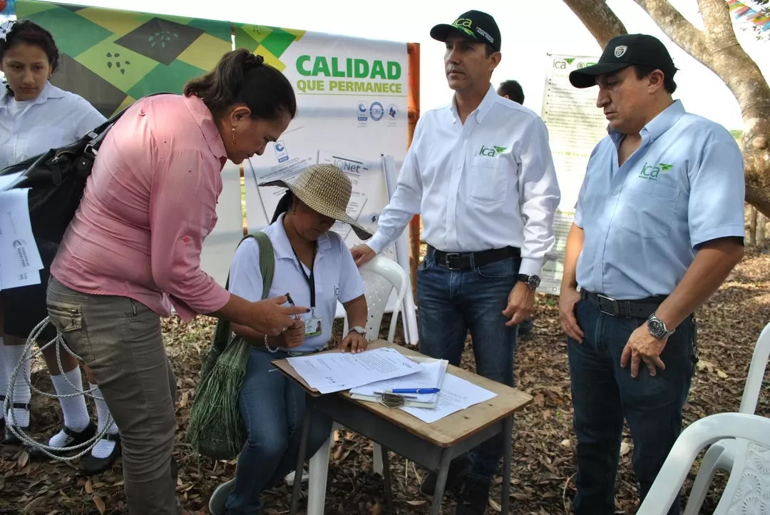 Los restantes animales fueron entregados a pequeños productores de veredas del municipio de Arauca.